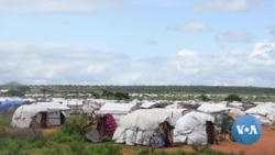 በቦረና ዝናሙ ቢጀምርም ሰብአዊ ድጋፉ እንዳይቋረጥ የድርቅ ተፈናቃዮች ጠየቁ