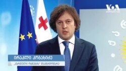 კობახიძე: დემოკრატია 2012 წლის შემდეგ, ეს არის უმნიშვნელოვანესი მიღწევა