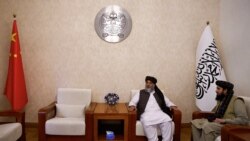 塔利班：計劃正式加入中國的"一帶一路"倡議
