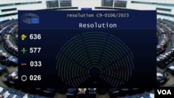 ევროპარლამენტის რეზოლუცია მიხეილ სააკაშვილის შესახებ