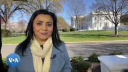 Oq uydan jonli efir: O'zbekistonda referendum, Qozog'istonda saylov 