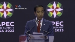 Di Sela KTT APEC, Jokowi Promosi IKN
