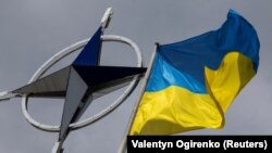 Samit se održava u trenutku ukrajinske protivofanzive protiv Rusije koja je na tu zemlju izvršila invaziju februara 2022. (Foto: REUTERS/Valentyn Ogirenko)