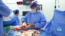 Hayvon organini inson tanasiga o'tkazish