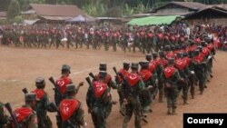 TNLA တပ်ဖွဲ့ဝင်များ (Photo: PSLF/TNLA Info)