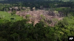 Lahan yang gundul terlihat di area deforestasi hutan Amazon yang diidentifikasi oleh Lembaga Chico Mendes di negara bagian Acre, Brazil, akhir tahun 2022 lalu (foto: dok). 