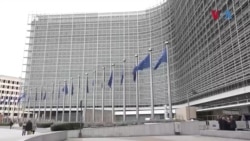 Домашни аналитичари: Кој и да победи на изборите, ќе ги донесе уставните измени 