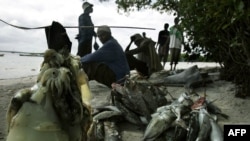 Wavuvi wakionyesha samaki zao katika kisiwa cha Pemba huko Zanzibar. Picha na Marco LONGARI / AFP