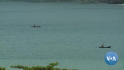 Novo rumo para pesca artesanal pode salvar florestas