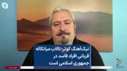 نیک‌آهنگ کوثر: تالاب میانکاله قربانی افراد فاسد در جمهوری اسلامی است