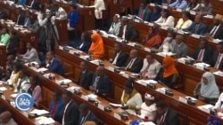 የፓርላማ አባላቱ የታንዛኒያው ድርድር ሒደት ለሕዝብ በይፋ እንዲገለጽ ጠየቁ