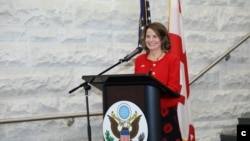 რობინ დანიგანი, აშშ-ის ელჩი საქართველოში.