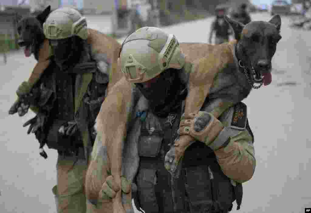 Rescue personnel carry their search dogs after searching for bodies at the site of a landslide that ripped through Las Tejerias, Venezuela, Oct. 11, 2022. 
