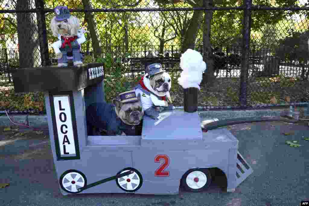 Dogs compete in the 32nd Tompkins Square Halloween Dog Parade, Oct. 22, 2022, at Tompkins Square in New York City. 