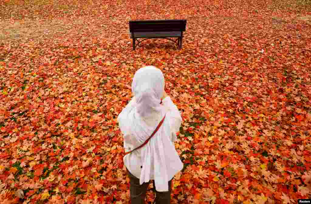 A woman photographs the vivid autumn colors of fallen leaves from a tree on the National Mall in Washington, Oct. 26, 2022. 