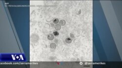 SHBA zgjeron përpjekjet kundër lisë së majmunit