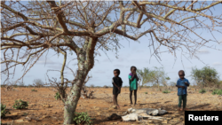 Watoto waliosimama karibu na mifugo waliokufa kutokana na ukosefu wa maji na chakula, Somalia May 26, 2022. 