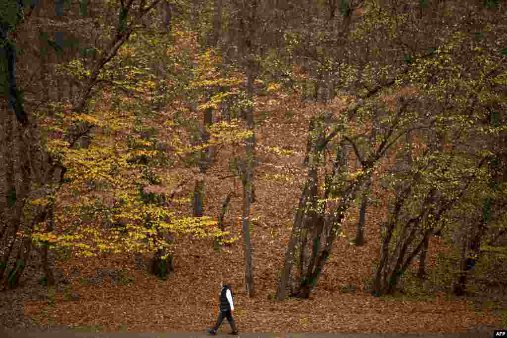 A woman walks at the Germia National Park, covered with autumn fallen leaves, near Pristina, Kosovo.