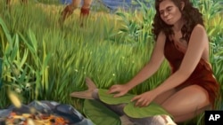 This illustration provided by Tel Aviv University depicts hominins preparing Luciobarbus longiceps fish on the shores of the ancient lake Lake Hula. A recent study found the oldest evidence of cooking, dating back to 780,000 years ago. (Ella Maru/Tel Aviv University via AP)