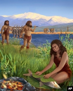 This illustration provided by Tel Aviv University depicts hominins preparing Luciobarbus longiceps fish on the shores of the ancient lake Lake Hula. A recent study found the oldest evidence of using fire to cook, dating back to 780,000 years ago. (Ella Maru/Tel Aviv University via AP)
