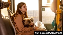 A girl who recently arrived from Mariupol waits in a bus with her dog to be taken to a hotel with her family in Zaporizhzhia, May 3, 2022. (Yan Boechat/VOA)