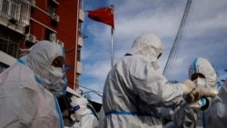 རྒྱ་ནག་གི་གྲོང་ཁྱེར་གྷོང་ཀྲའོ་ནང་ཏོག་དབྱིབས་འགོས་ནད་ཀྱི་རྐྱེན་པས་ཟང་ཟིང་བྱུང་ཡོད་པ། 