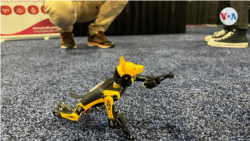 Qeni robot i kompanisë "Airudit" që aktivizohet me zë.