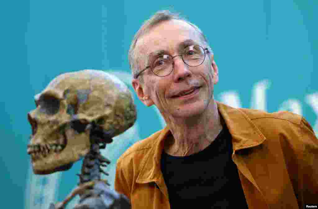Swedish geneticist Svante Paabo, who won the 2022 Nobel Prize in Physiology or Medicine for discoveries that underpin our understanding of how modern day humans evolved from extinct ancestors, attends a news conference at the Max-Planck Institute for evolutionary anthropology in Leipzig, Germany.