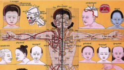 མིའི་དབང་རྩའི་མ་ལག་དང་ལུས་སེམས་ཀྱི་བདེ་སྐྱིད།