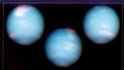 Quiz - Study: Neptune’s Disappearing Clouds Linked to Solar Cycle
