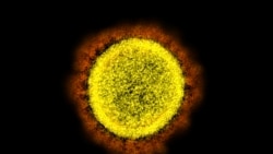 早期奧密克戎感染不太可能預防當前的病毒變異