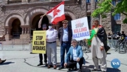 Kanadadan panoh topgan hazoralar