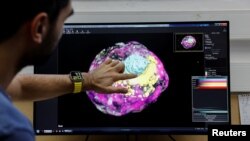 Model ljudskog embriona u ranoj fazi, stvoren od strane izraelskih naučnika bez upotrebe jajašaca, sperme ili materice.