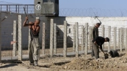 O'zbekistonda amnistiya - uch ming kishi ozod etilmoqda/Malik Mansur