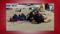 د ډیوه د روانو چارو خپرونه په ټي وي
