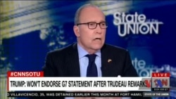 Економічний радник Білого дому заявив, що Трюдо встромив ножа у спину Трампу. Відео