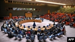 شورای امنیت سازمان ملل متحد، نیویورک - آرشیو