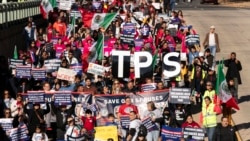 La extensión del TPS que favorecía a los venezolanos es suspendido por el presidente Trump
