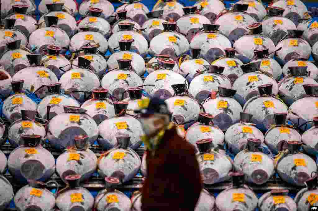 A man stands in front of lined up frozen tuna during the New Year's auction at Toyosu fish market in Tokyo, Japan.