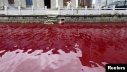 Le nouveau président tanzanien John Magufuli ramasse des ordures, donnant le ton aux travaux de nettoyage à l'échelle nationale auxquels les Tanzaniens ont été conviés pour le 54e anniversaire de l'indépendance du Tanganyika.