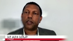 አቶ ልደቱ በሌላ አየር መንገድ ወደ ሀገራቸው ለመመለስ መዘጋታቸውን ገለጹ