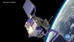 Samoviy chiqindilarni kuzatayotgan ekolog