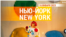 «Нью-Йорк New York». 16 января 2023 