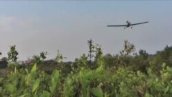 Meta de erradicación de cultivos ilícitos en Colombia para el 2023