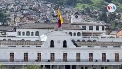 Guerra impacto en Latinoamérica -Ecuador flores- nota.mp4