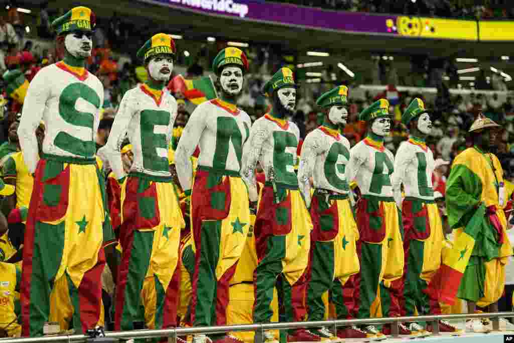 Senegal's fans wait for the start of the World Cup group A soccer match between Senegal and Netherlands at the Al Thumama Stadium, in Doha, Qatar.