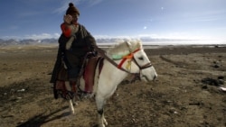 བླ་བྲང་ཁུལ་དུ་བོད་མིའི་འབྲོག་པའི་རྩ་ཐང་བཙན་འཕྲོག 