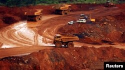 Sejumlah truk bermuatan bijih nikel mentah tampak lalu lalang di area pertambangan di Sorowako, Sulawesi Selatan, pada 8 Januari 2014. (Foto: Reuters/Yusuf Ahmad)