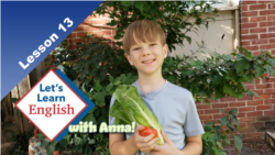 Lesson 13: What Is a Farmers' Market?