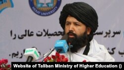 ندا محمد ندیم، سرپرست وزارت تحصیلات عالی طالبان